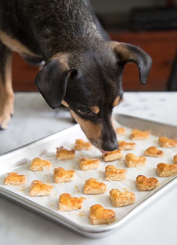 Sweet Potato Dog Treat Biscuits