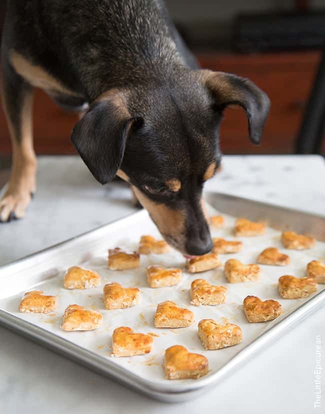 how to make dog treats from dog food