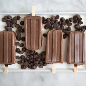 Frozen Fudge Bars