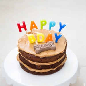 peanut butter apple cake for dogs topped with dog biscuit and birthday candles