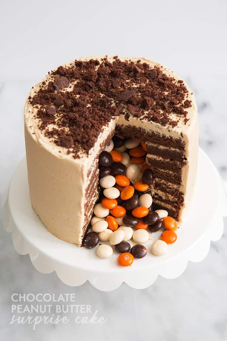 Chocolate Peanut Butter Surprise Cake-The Little Epicurean