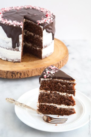 Chocolate Peppermint Cake-The Little Epicurean