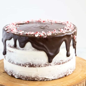 Chocolate Peppermint Cake