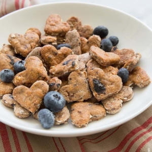 Blueberry Oatmeal Dog Treats