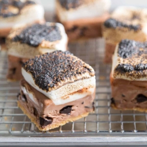 S'mores Ice Cream Bars