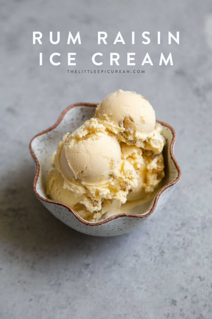 rum-raisin-ice-cream-the-little-epicurean