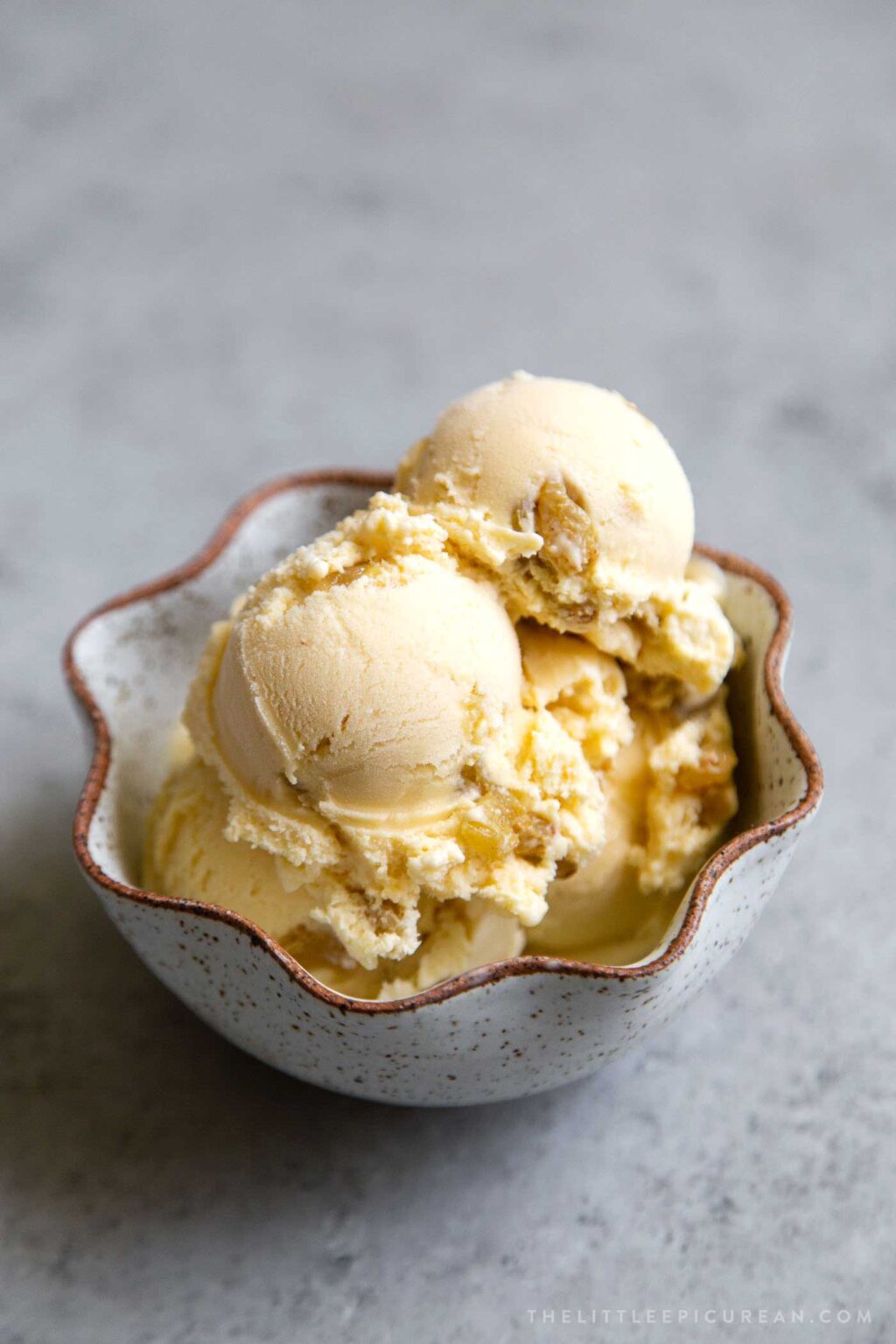 Rum Raisin Ice Cream - The Little Epicurean