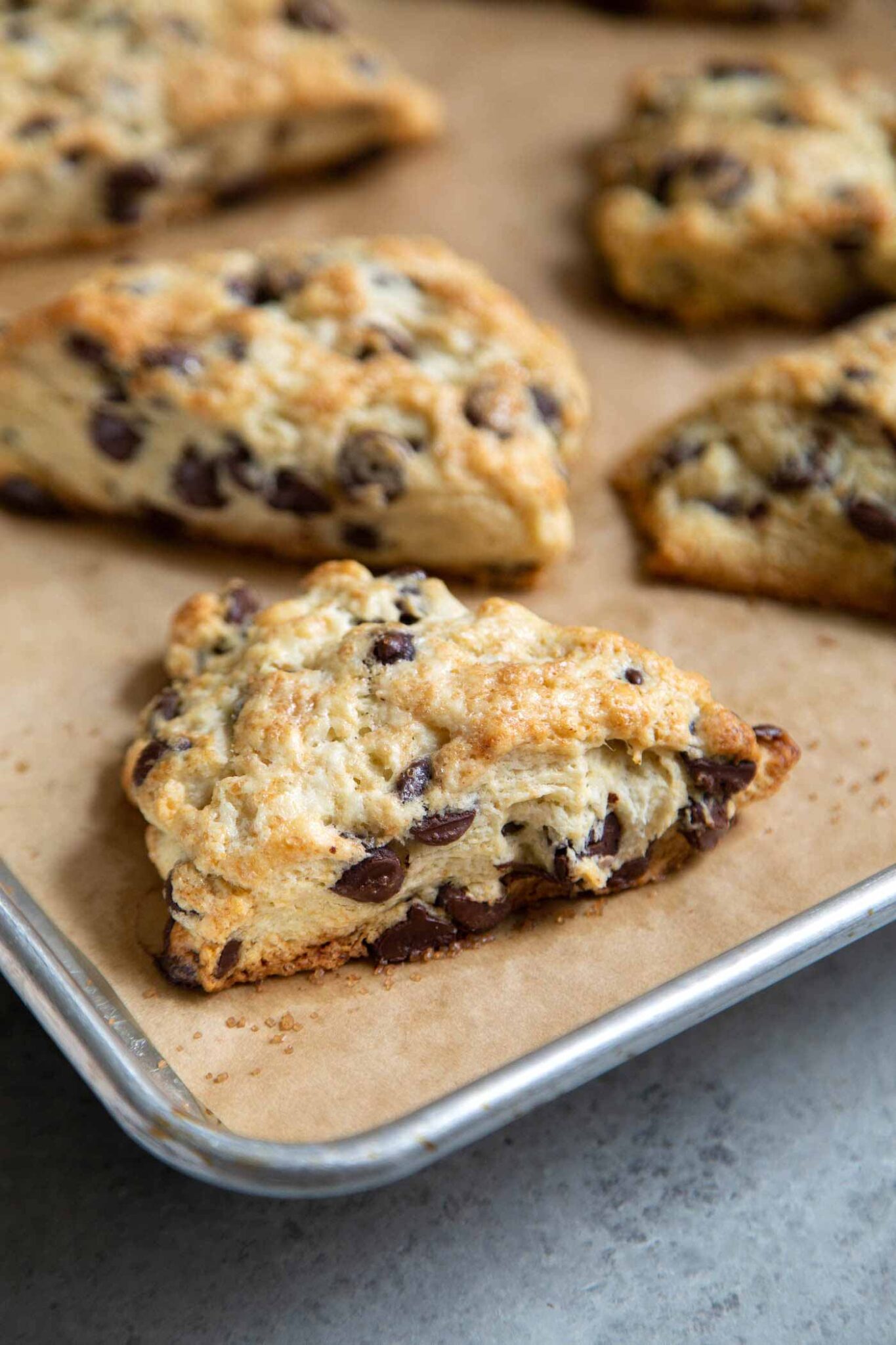 Chocolate Chip Scones - The Little Epicurean