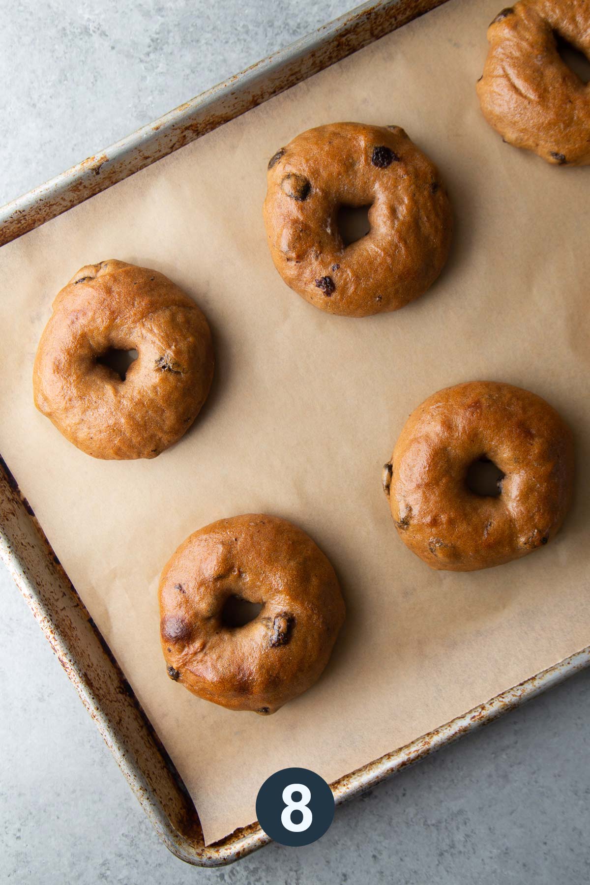 baked cinnamon raisin bagels in parchment lined baking sheet.